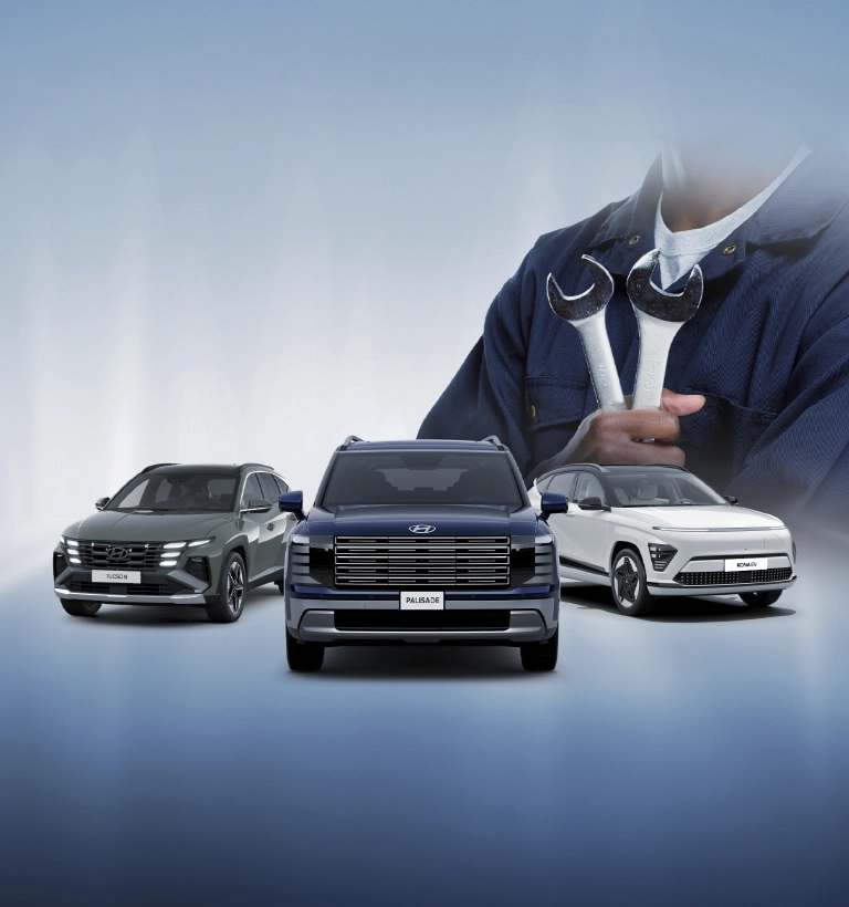 Hyundai Week