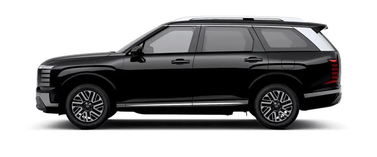 PALISADE Abyss Black Pearl